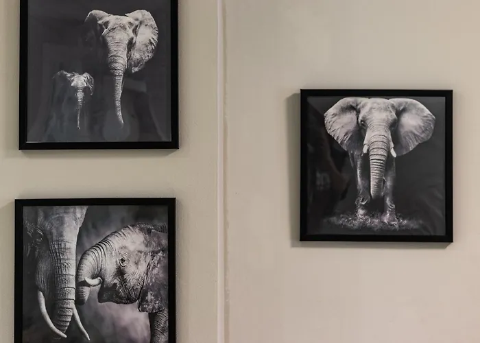 Apartmán En Licenciado Poza